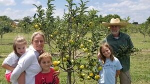 Apple Picking In Texas Guide To 6 Best Orchards Farms