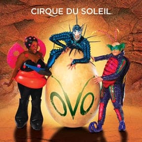 Cirque du Soleil: OVO Tickets, Event Dates & Schedule