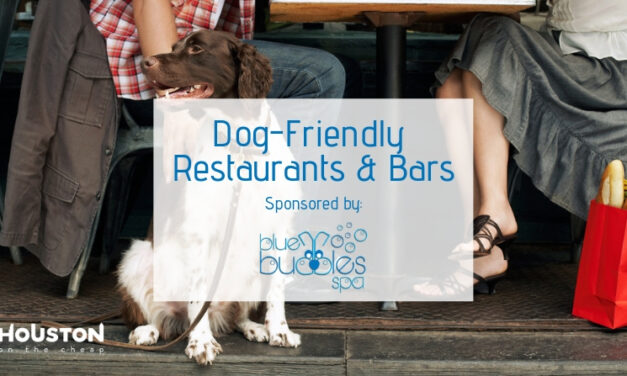 Dog Friendly Restaurants & Bars in Houston – Places That Allow Pets