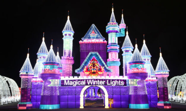 2020 Magical Winter Lights Has Been Canceled, Aims to Return Next Year