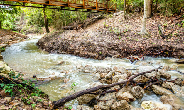 Houston Arboretum & Nature Center Opens New Inner Loop Hiking Trail