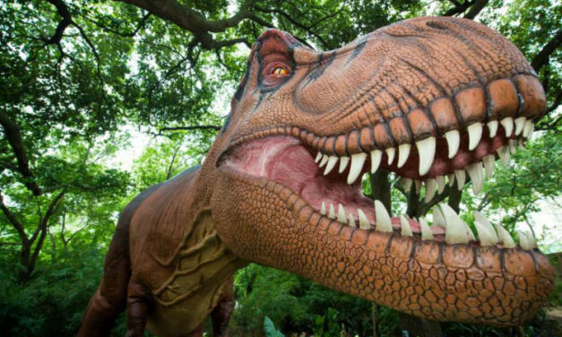 See T. Rex Come to Life at DINOSAURS at the Houston Zoo