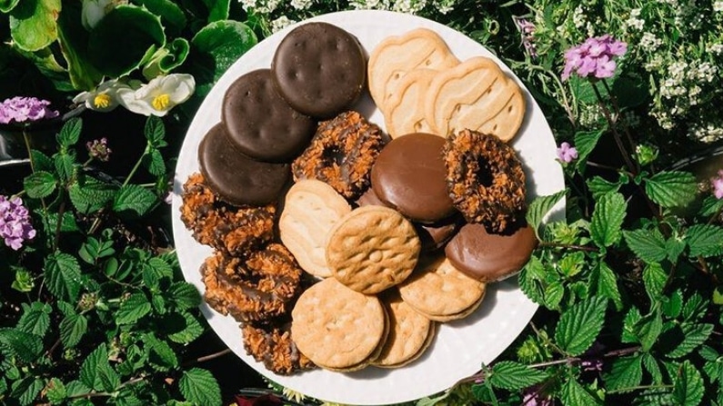 Girl Scout Cookies Are Now Available for Home Delivery