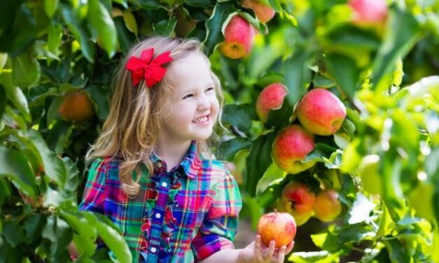 The Best Places to Pick Apples in Texas