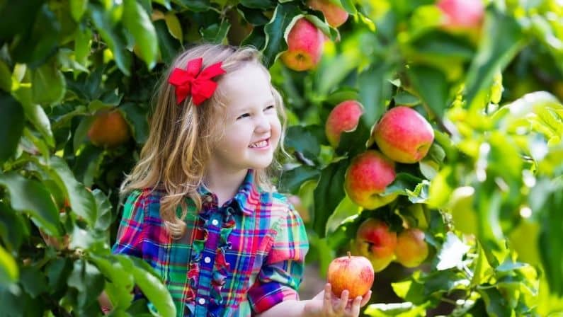The Best Places to Pick Apples in Texas