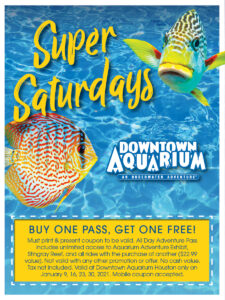 Houston Aquarium Super Saturdays: 2-for-1 Deals in 2021 - Aquarium Coupons 2021 225x300
