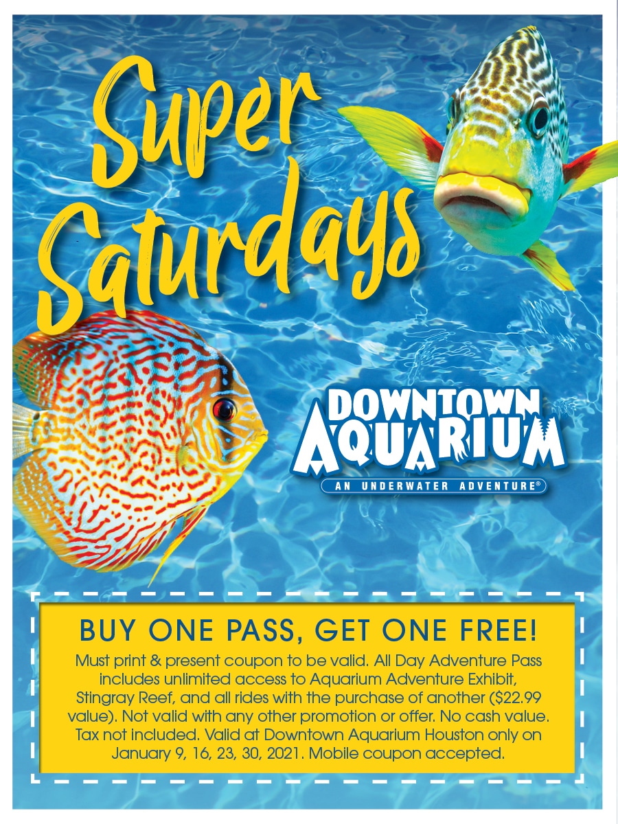 houston-aquarium-super-saturdays-2-for-1-deals-in-2021