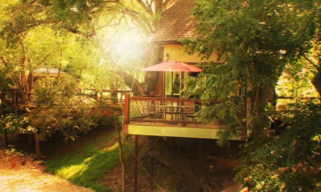 You Can Stay the Night in a Treehouse Next to the River