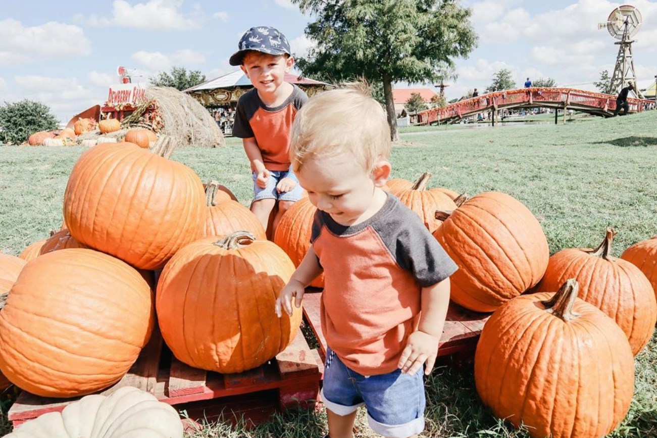 Fall Fun for the Whole Family at Dewberry Farms HoustonOnTheCheap