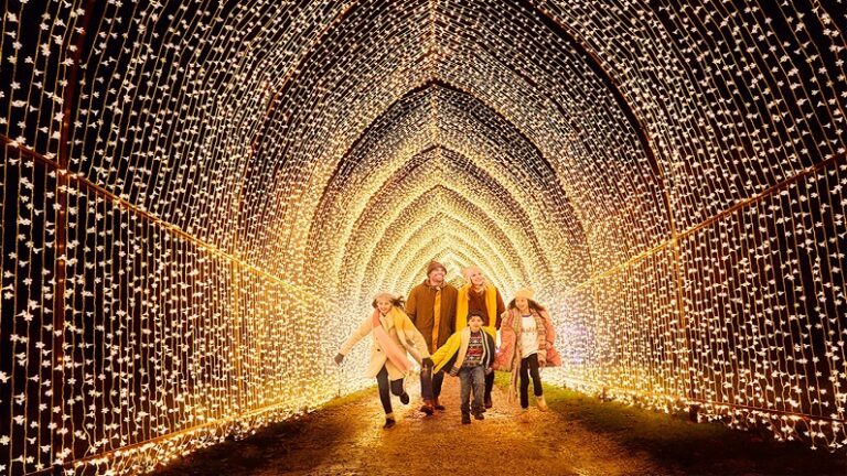 20 Best Christmas and Holiday Lights in Houston for 2022