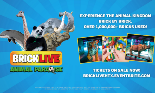 BRICKLIVE Animal Paradise – Animal Statues, Photo-friendly Backdrops, And More!