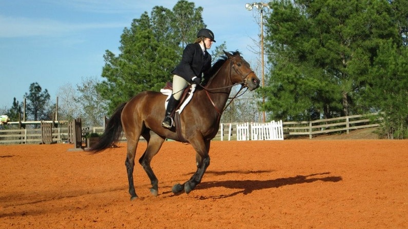 Horse riding lessons in Houston - Southern Breeze Equestrian Center