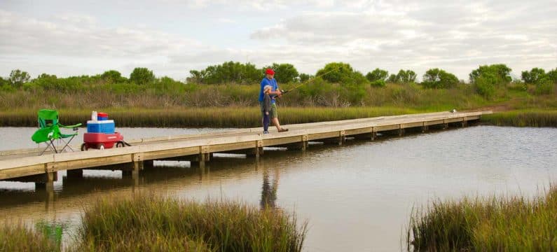 Best Outdoor Activities in Houston - Galveston Island State Park