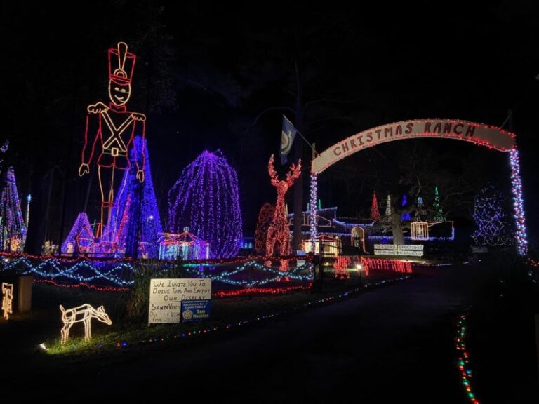 20 Best Christmas And Holiday Lights In Houston For 2022