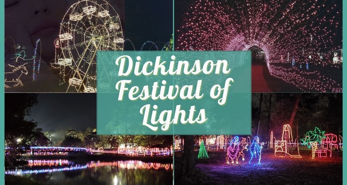 Guide to the Dickinson Festival of Lights 2022