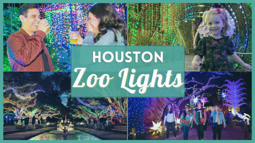 Houston Zoo Lights 2022 What's new for this year!