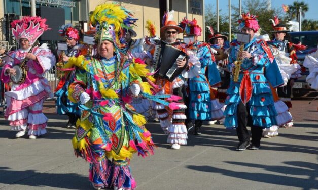 Top 12 things to do in Houston this weekend of February 17 include Mardi Gras of Southeast Texas, Rainbow on the Rink, & more!