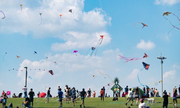 Things to do in Houston this weekend of March 24: Kite Festival Houston at Hermann Park, Katy Home & Garden Show 2023, & more!