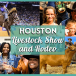 Houston Stock Show and Rodeo 2024 – Tickets, Events, and More!