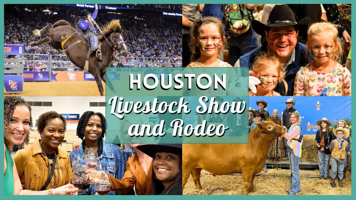 Houston Stock Show and Rodeo 2024 Event Guide!