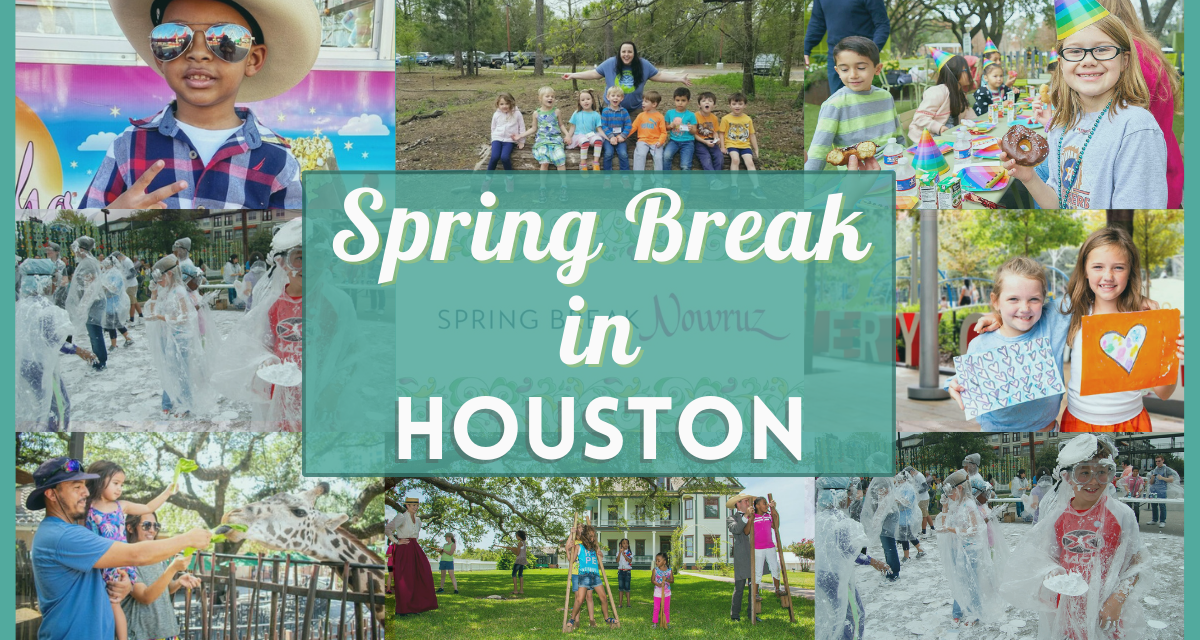 Spring Break Houston 2024 Guide 15 Fun Things To Do!