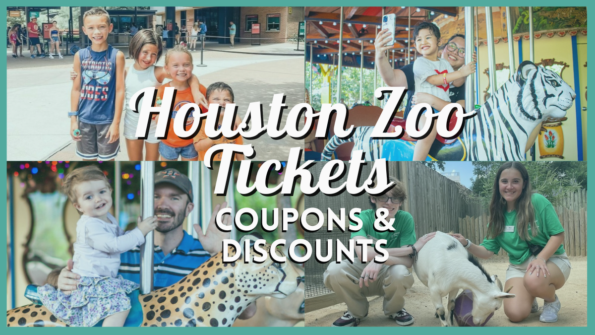 Houston Zoo Tickets 10 Ways To Save Big Using Coupons Discounts More 595xh 