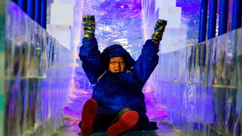 Ice Land - Reinforest Holiday at Moody Gardens