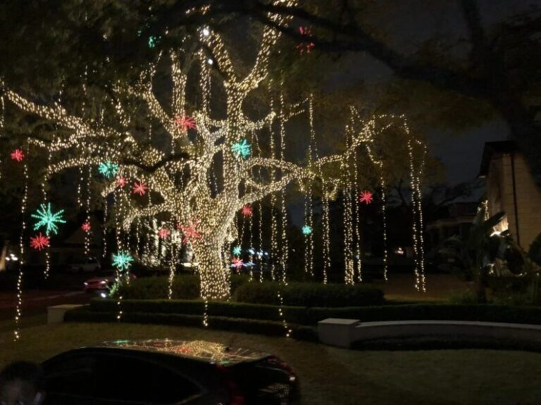 Christmas Lights River Oaks 