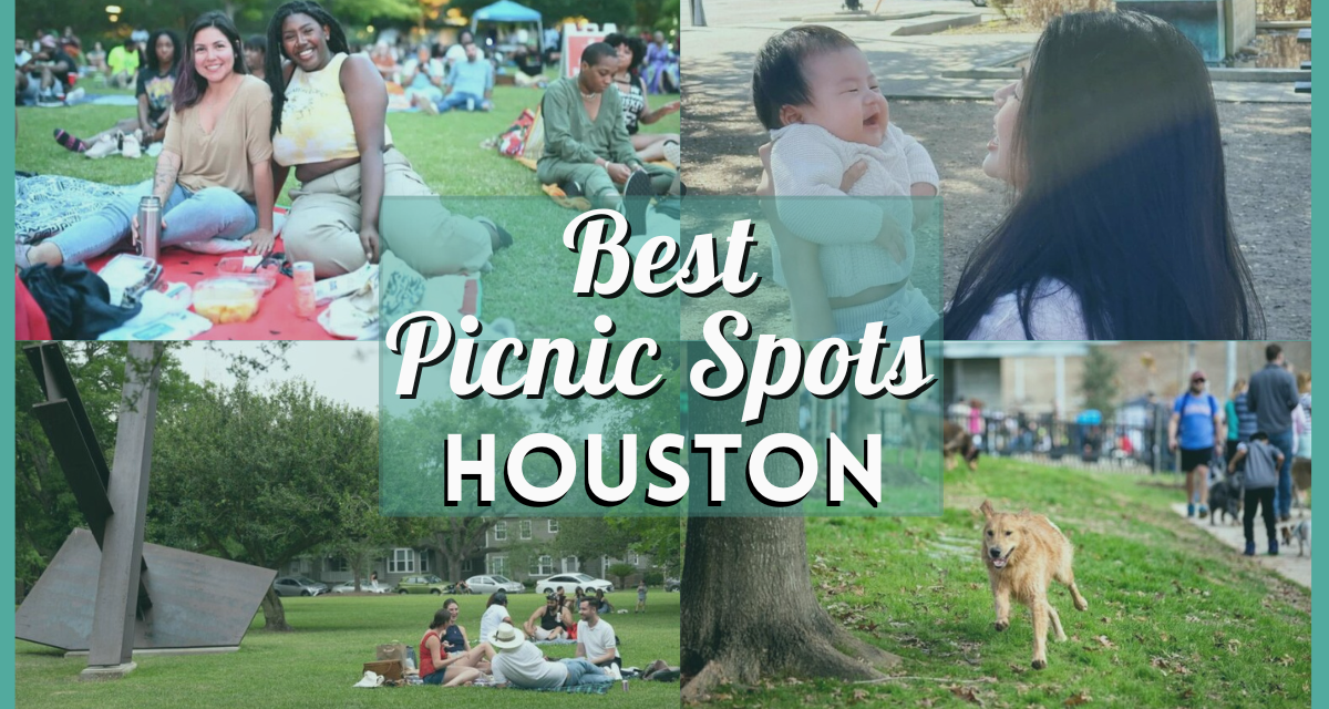 10 Best Picnic Spots in Houston – Enjoy Your Day Out at These Parks, Playgrounds, and More!