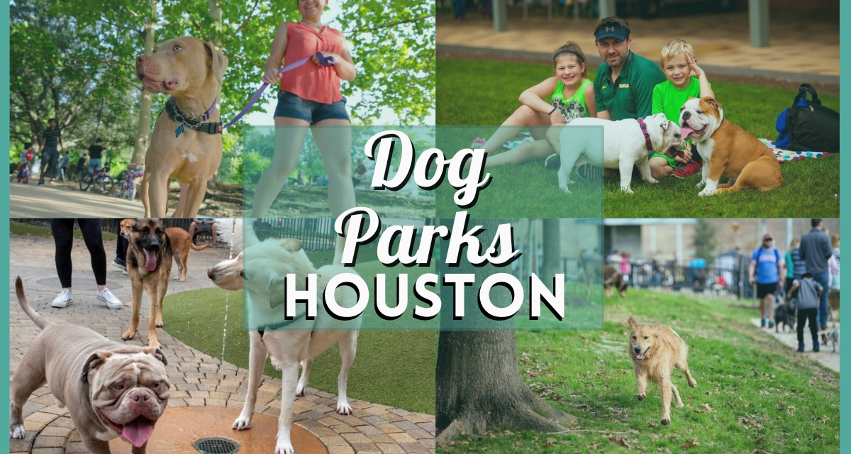 Pawtastic Playdates – 25 Dog Park Houston Favorites Your Pups Will Love