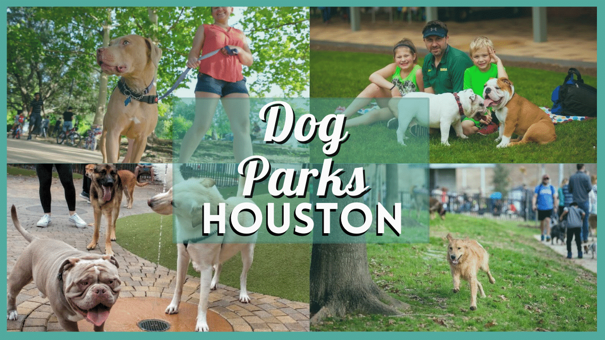Dog Park Houston