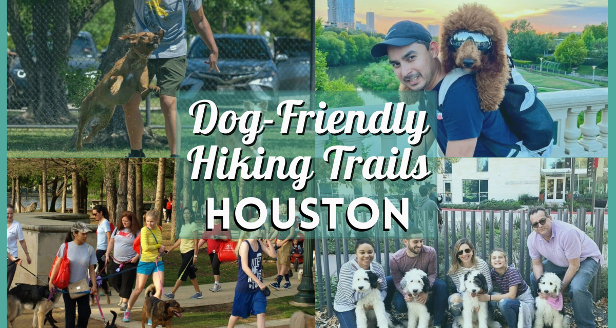 Explore these ‘Pawsome,’ Dog Friendly Hiking Trails in Houston For Your Next ‘Dog-venture!’