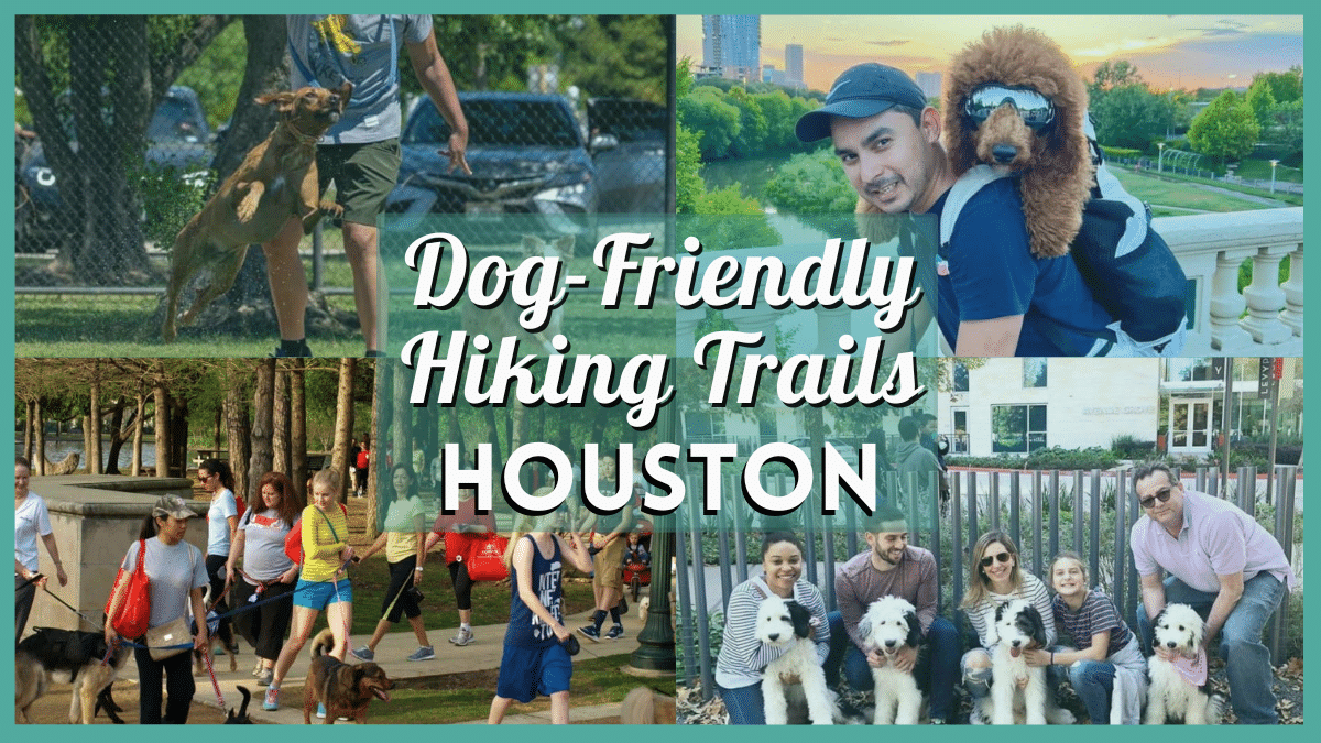 Dog Friendly Hiking Trails in Houston