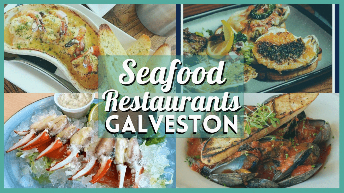 Seafood Restaurants in Galveston TX