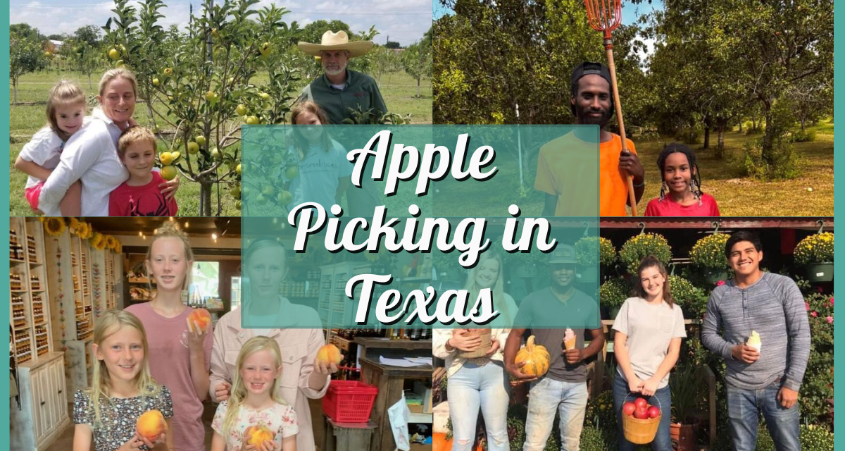 A-Peel-ing Adventures: The Ultimate Guide to Apple Picking in Texas!