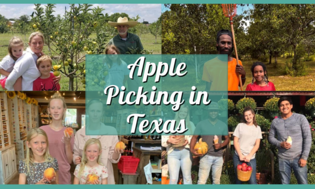 A-Peel-ing Adventures: The Ultimate Guide to Apple Picking in Texas!