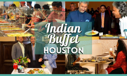 Curry Up for Flavor – Exploring the Best Indian Buffets in Houston!