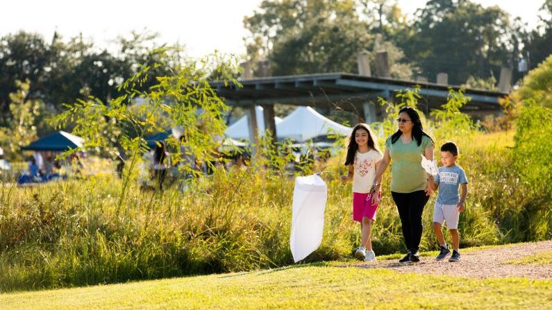 Summer species: Butterfly walk