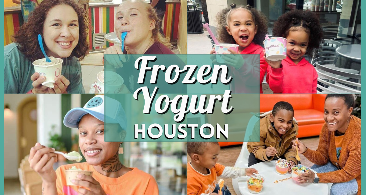 Discover the Best Frozen Yogurt in Houston – Flavors, Locations, and More!