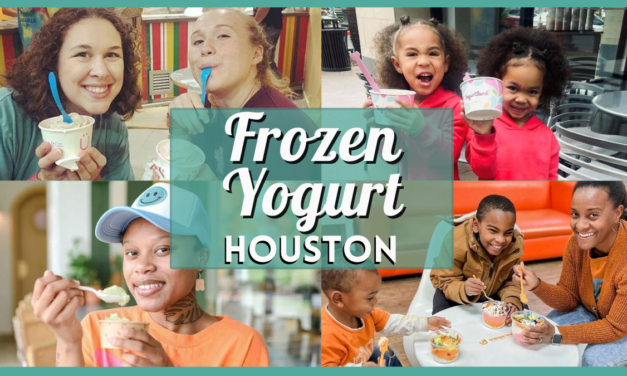 Discover the Best Frozen Yogurt in Houston – Flavors, Locations, and More!