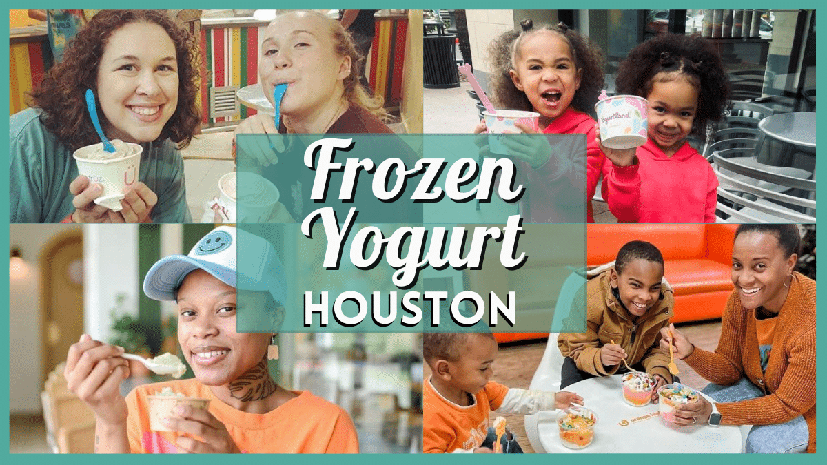 Frozen Yogurt in Houston