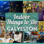 Free, Fun, and Exciting Indoor Things to Do in Galveston!