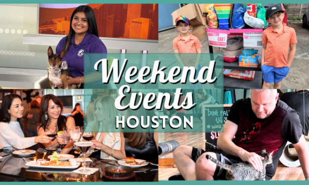 Things to do in Houston this weekend of August 16 Including Mister and Miss Pride Galveston, Mega Adoption Event, more!