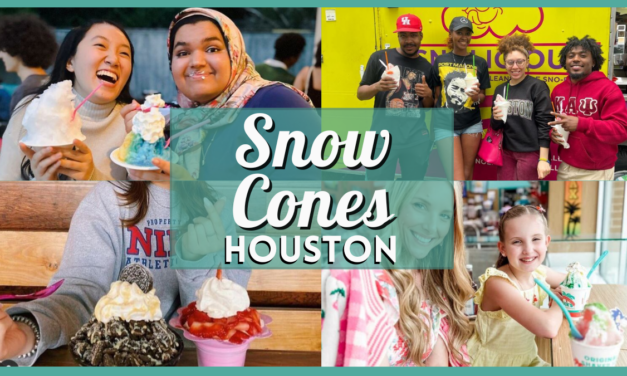 Snow Cones Houston Heaven – Where to Find the Most Delicious Icy Treats!