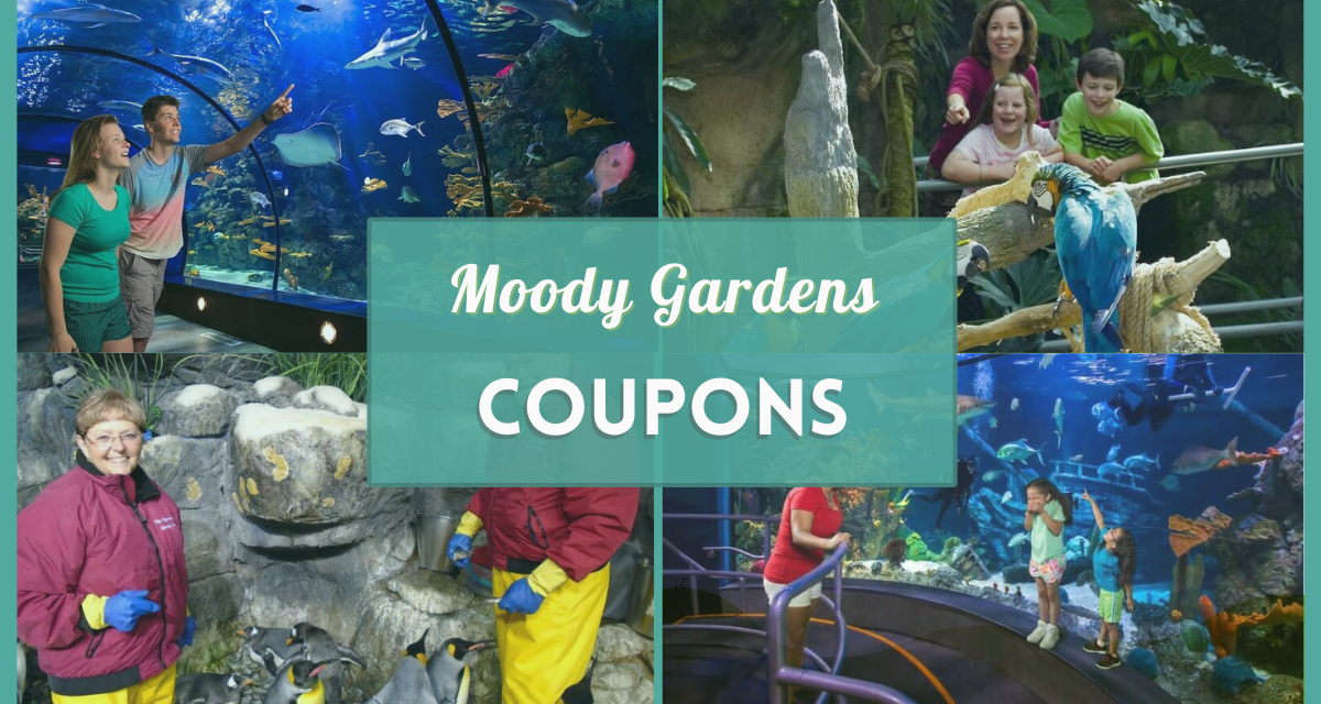 Complete Guide to Enjoying Moody Gardens On The Cheap – Tickets, Coupons & Discounts!