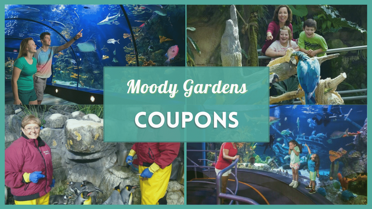 Moody Gardens Coupons