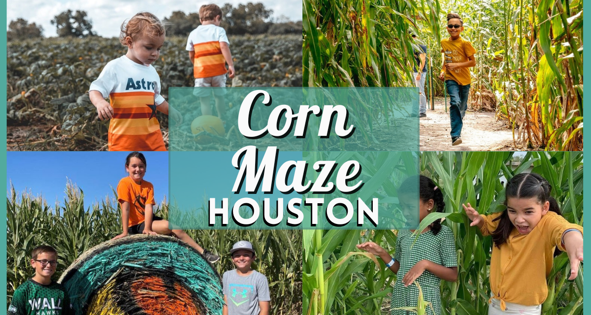 Corn Maze Houston: 10 Corn Mazes Near You For Hay Rides and Other Fun Fall Activities!