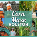 Corn Maze Houston: 10 Corn Mazes Near You For Hay Rides and Other Fun Fall Activities!