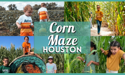 Corn Maze Houston: 10 Corn Mazes Near You For Hay Rides and Other Fun Fall Activities!