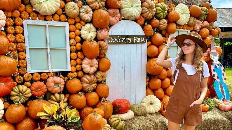 Pumpkin Patch Houston | Dewberry Farm Fall Festival